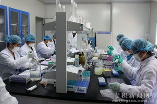 天水市舉辦縣級獸醫(yī)實(shí)驗(yàn)室檢測技術(shù)培訓(xùn)班，提升技術(shù)服務(wù)能力